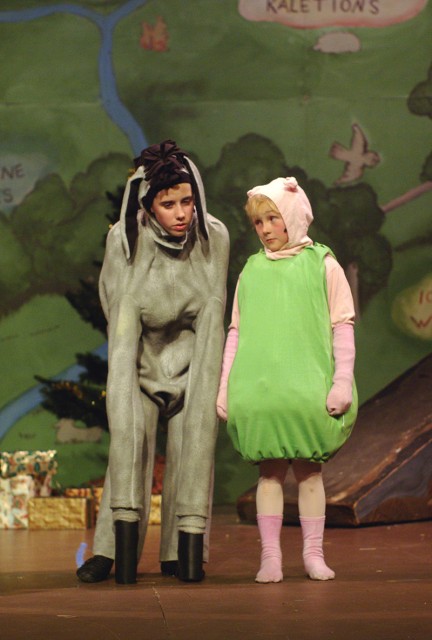 three-little-pigs-ariel-theatrical