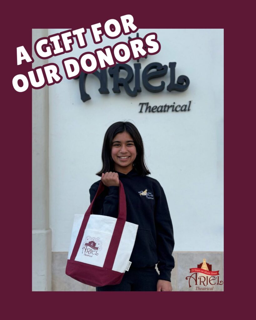 Get Your Exclusive ARIEL Mini-Tote!